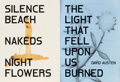 David Austen davidaustenlightnightflowers