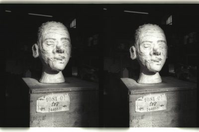 David Austen heads