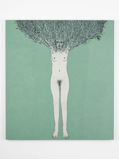 David Austen 03